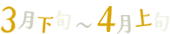 3月下旬～4月上旬