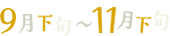 9月下旬～11月下旬