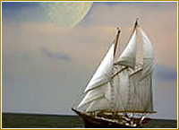 駿河湾クルージング